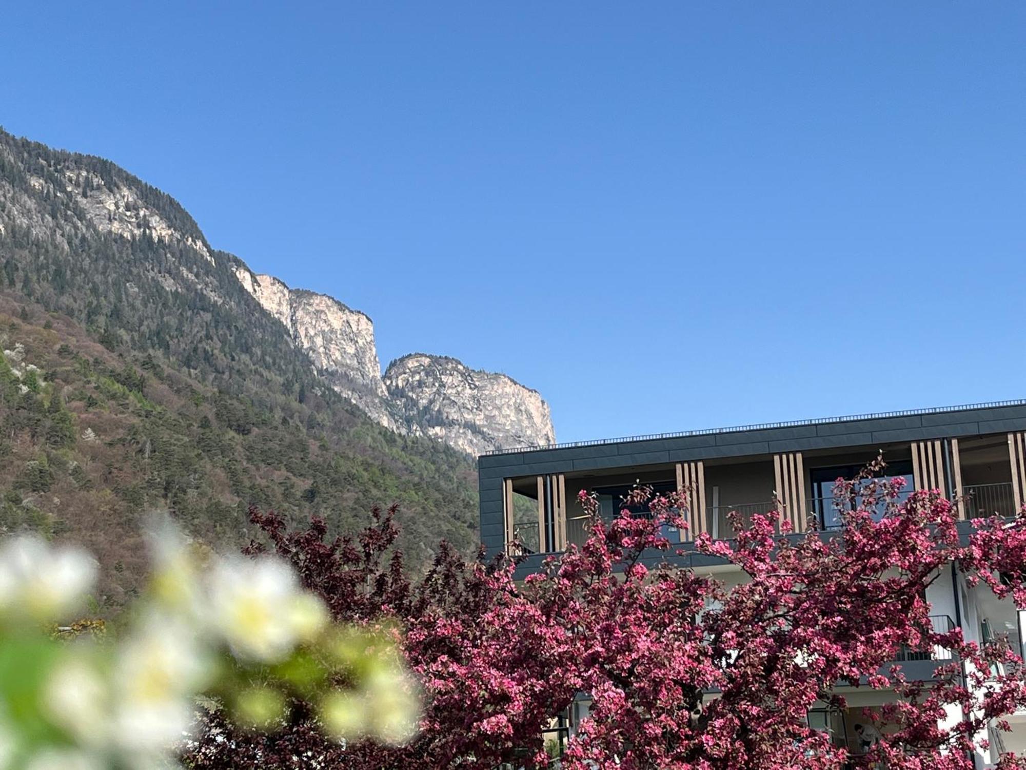 DAS MATSCHER Residence&Garden Hotel Eppan an der Weinstraße Buitenkant foto
